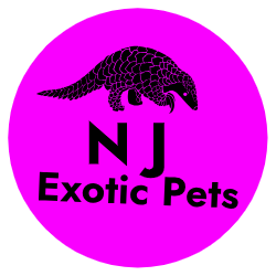 Exotic Pets New Jersey